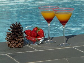 Food and drink - Villa with heated pool and secure 8 pers calm and comfort (Seignosse)