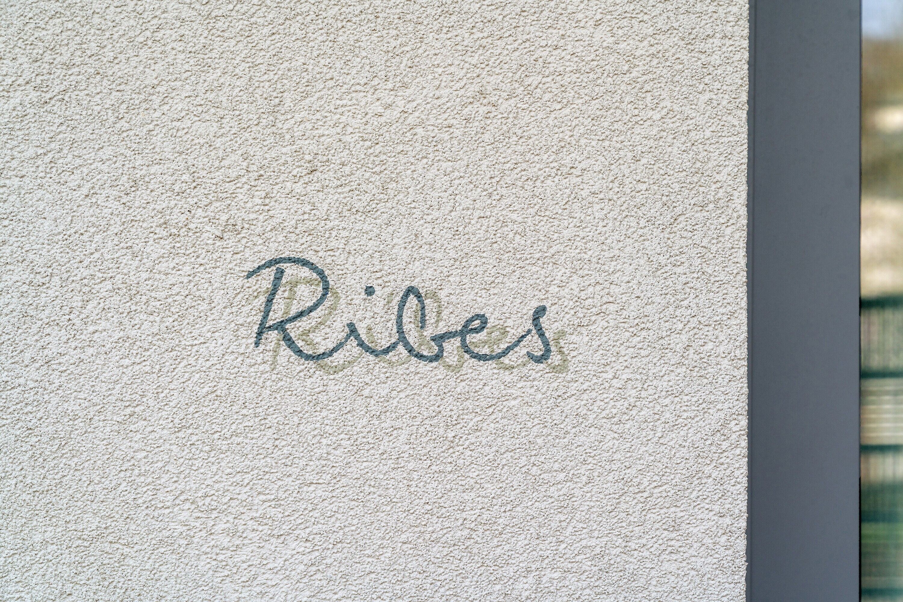 A textured wall with the word 'Ribes' written in cursive.