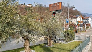 Una calle con un letrero de 'Dolce & Gabbana', una acera bordeada de árboles y edificios residenciales.