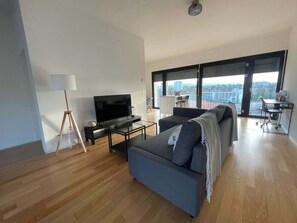 TV, offices - Apt near City Center, Novartis & Messe+Basel Card (Basel)