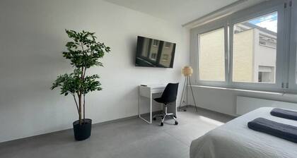 Modern City Studios in Basel with Basel Card