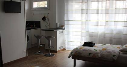 Studio near Basel Airport RM1181