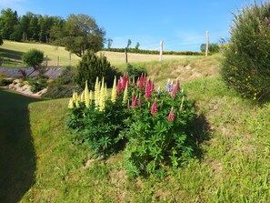 Àrea exterior de l'allotjament