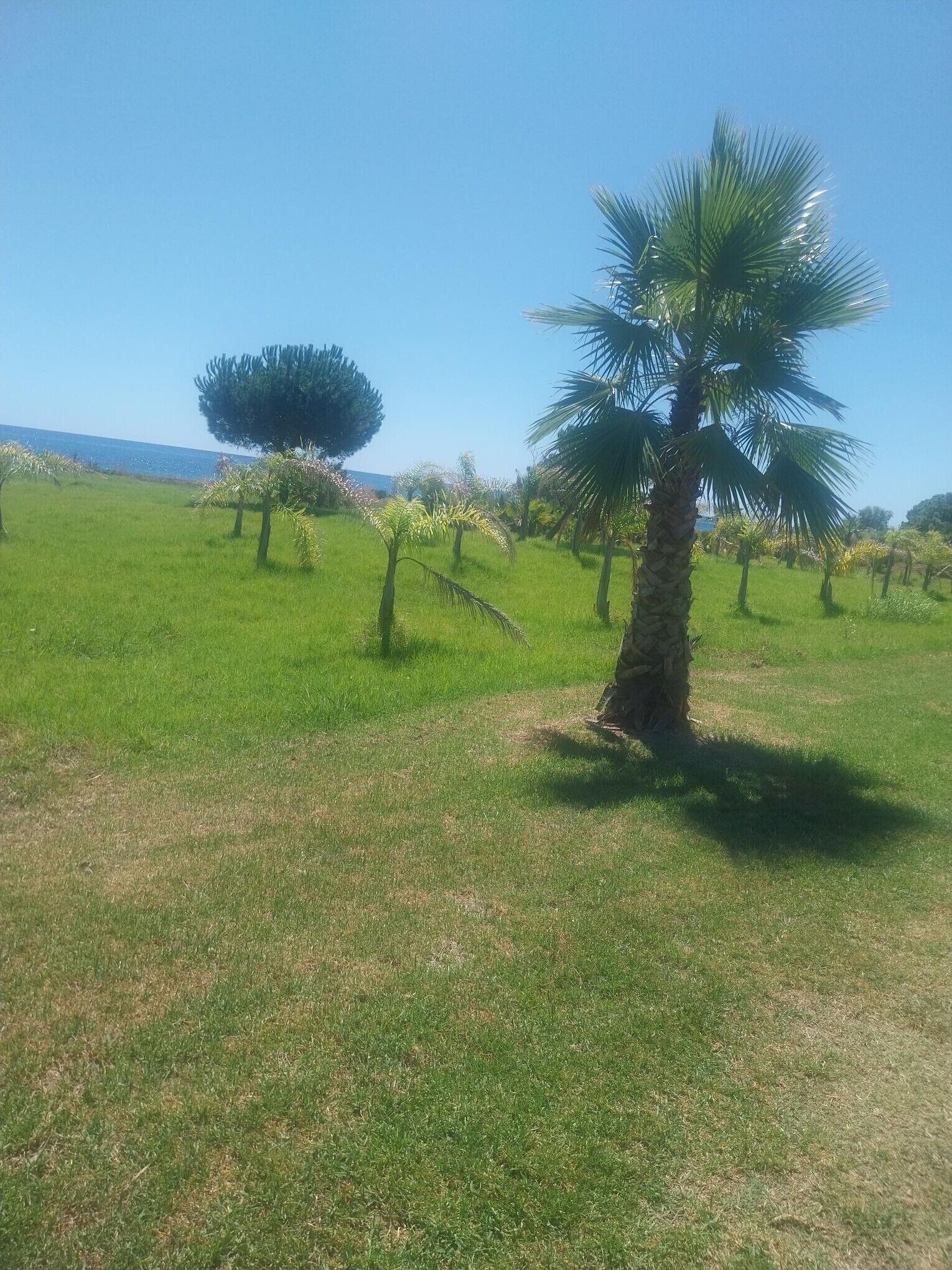 Área da propriedade