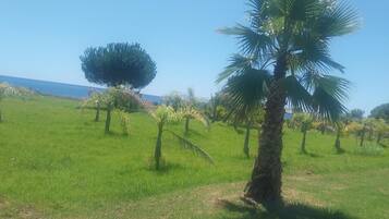 Área da propriedade