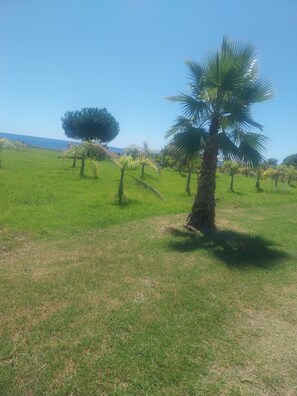 Área da propriedade