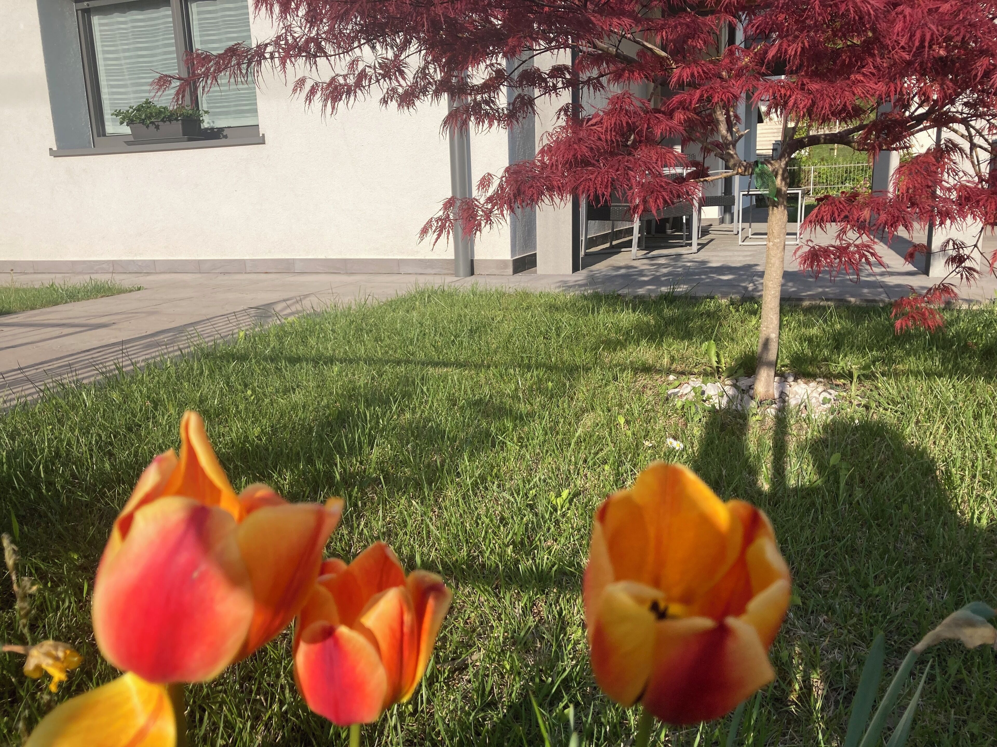 Parco della struttura