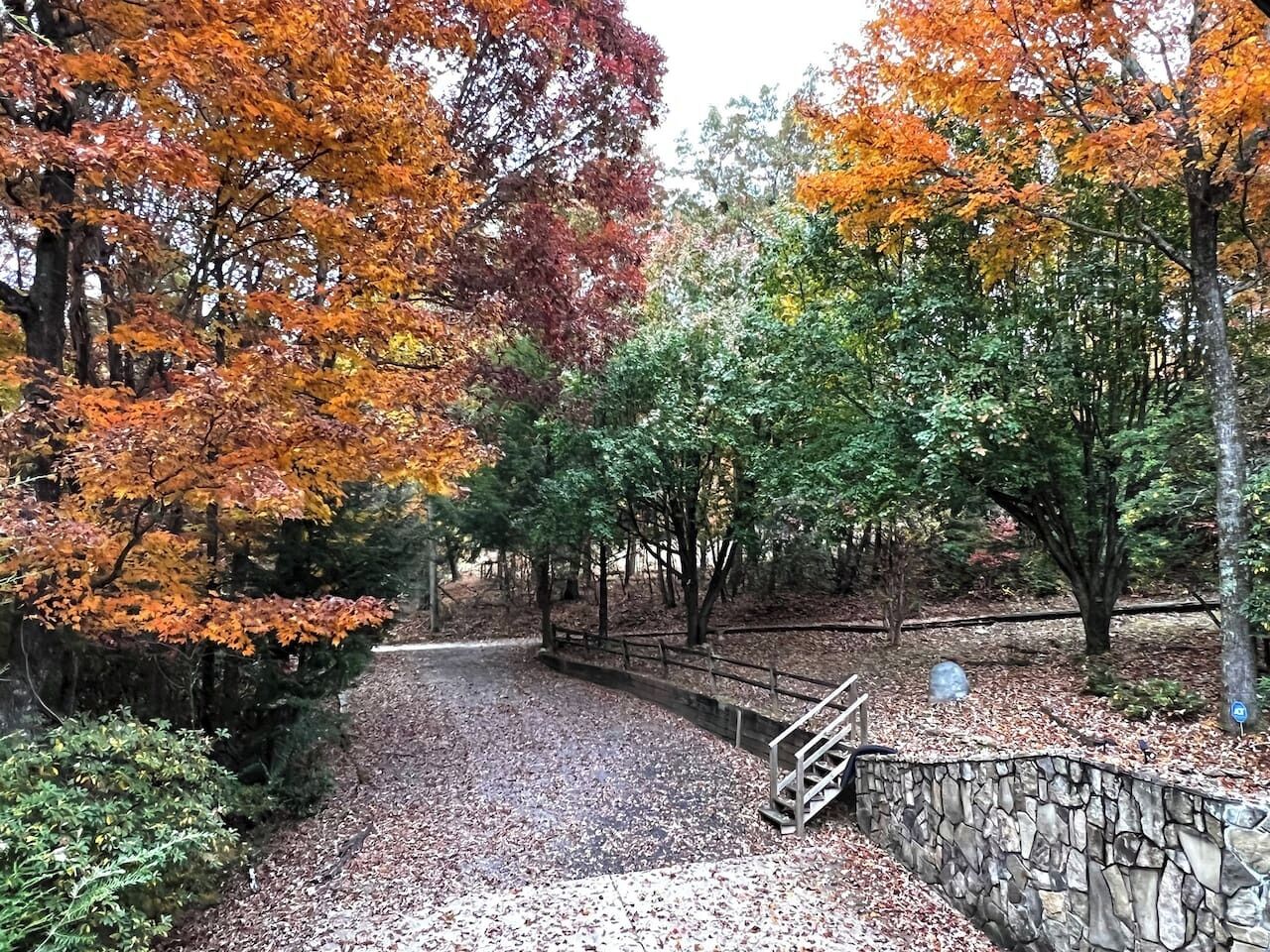 A park pathway with a stone wall and wooden railing.