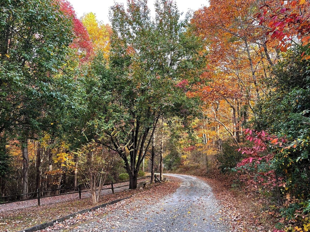A gravel path winding through a forest with autumn-colored trees.