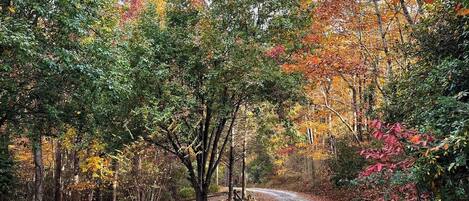 A gravel path winding through a forest with autumn-colored trees.
