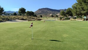 A golf course with a flag, trees, and a mountain in the background.