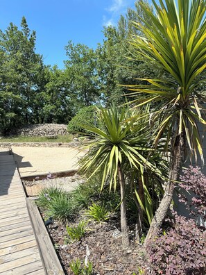 Un jardin doté d’une terrasse en bois, de différentes plantes et d’un mur en pierre.