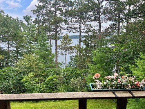 A Perfect Family Escape at Lake Shamineau Lookout