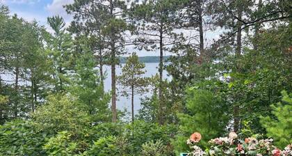 A Perfect Family Escape at Lake Shamineau Lookout