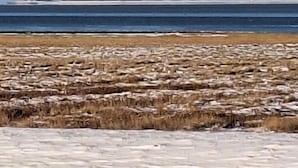 En strand med en sandig förgrund och ett lugnt hav.