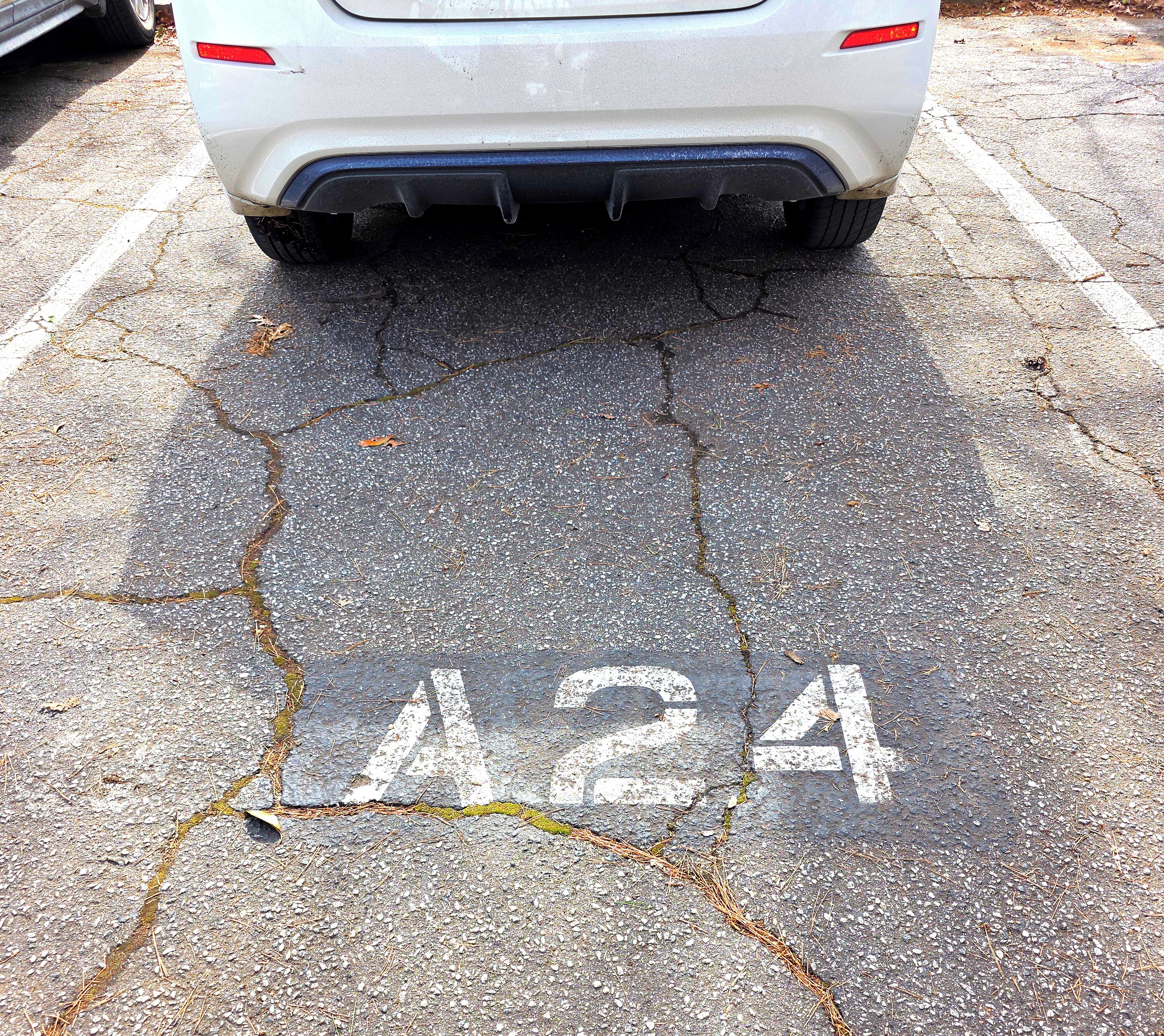 A parking space with a white car parked in it, marked with the number 24.