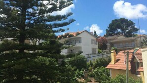 Un quartier résidentiel avec un grand pin, un immeuble blanc doté de balcons et une maison au toit rouge.