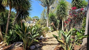 A garden with various plants, a pathway, and a building in the background. - Cedar Hill Retreat - great family property within easy reach of patrolled beach and shops (Venus Bay)