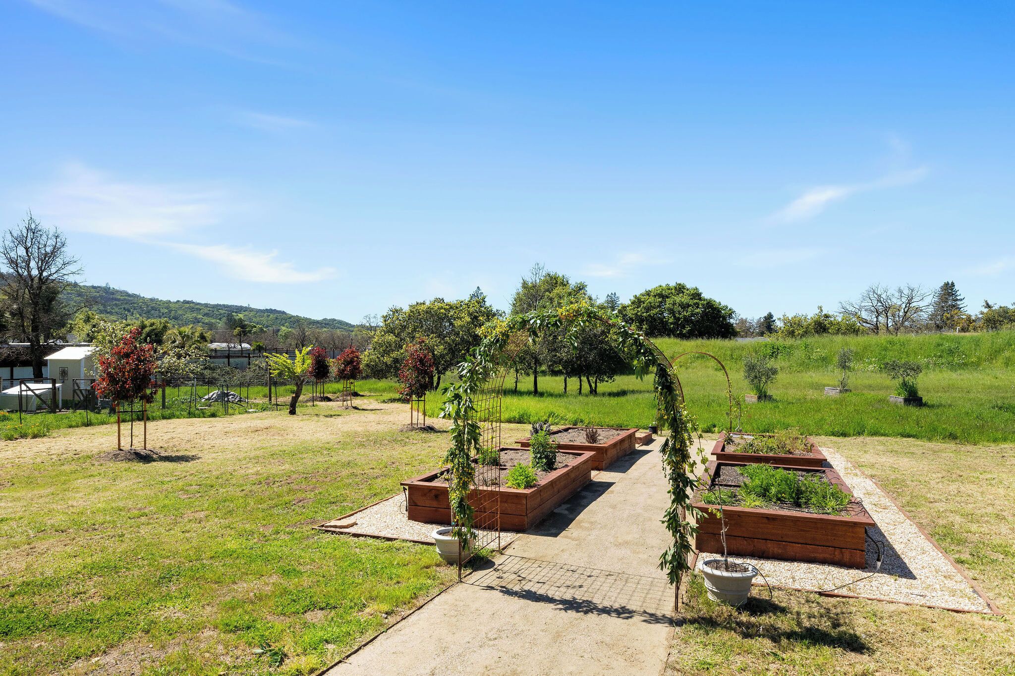 A garden with raised beds and a pathway.