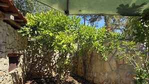 A stone wall with a climbing plant, a wooden beam, and a metal gate. - Apartments Benzia (Marina)