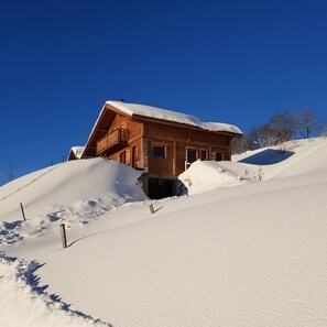 Exterior - Chalet, 900 m altitude, exceptional view, year-round outdoor Jacuzzi. (La Bresse)
