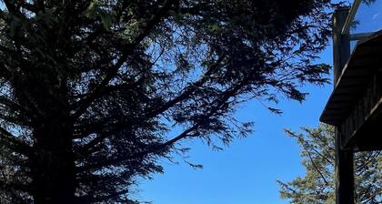 ocean view, backyard w/fire pit, 5 min walk to cafes/beach, dogs welcome