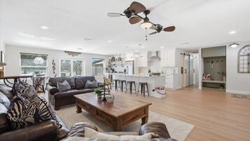 Smart TV, fireplace, books