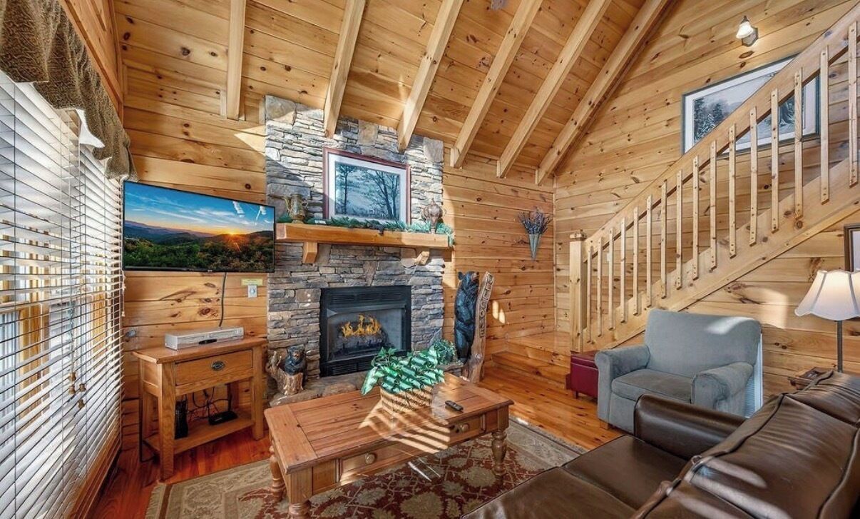 Smart TV, fireplace, DVD player, books