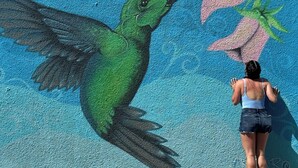 Ein Wandgemälde eines Kolibris.