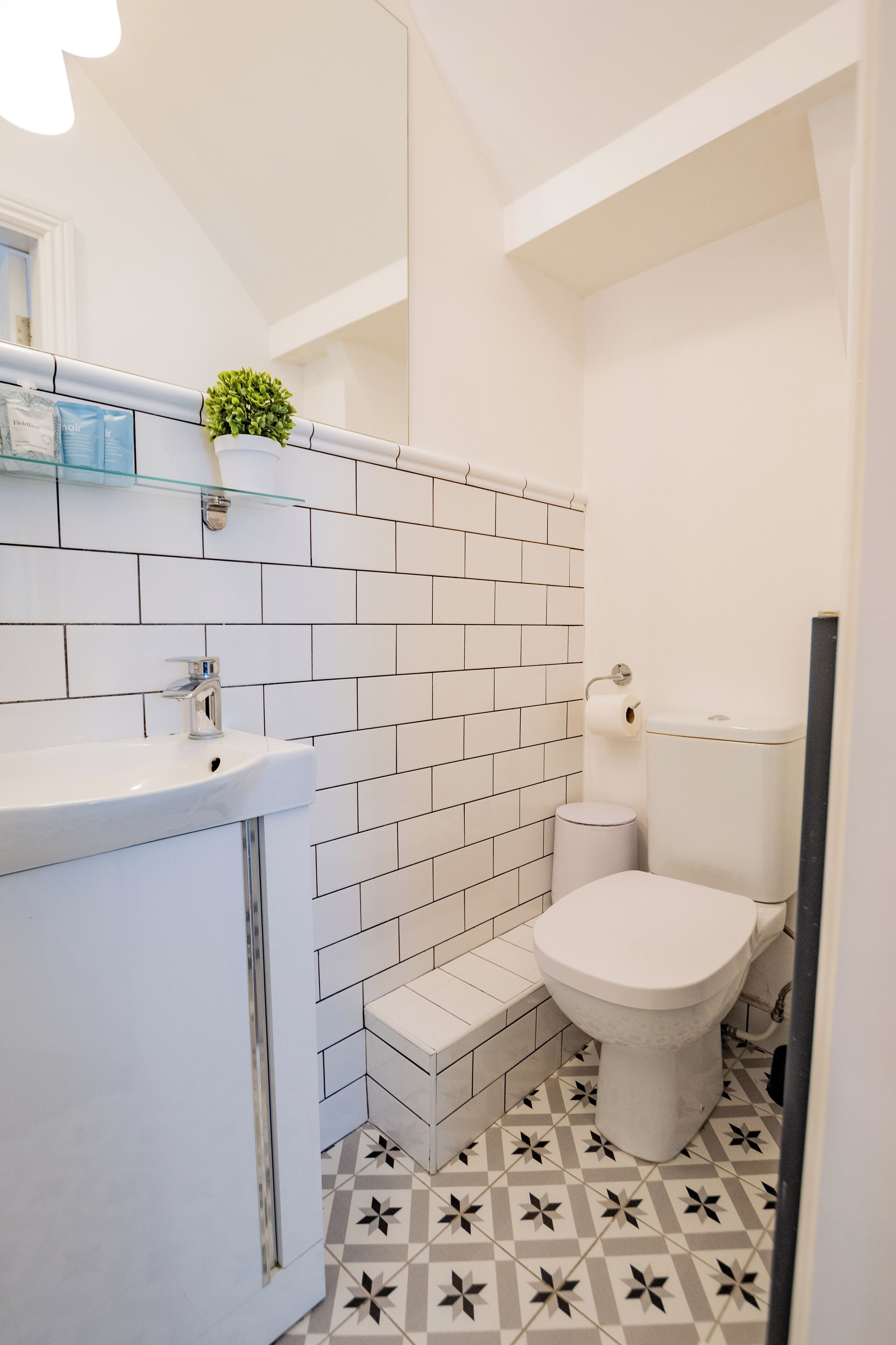 Un baño con un lavamanos blanco, un inodoro y una planta pequeña en la pared.