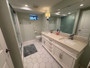 Hair dryer, towels, soap, toilet paper - Beautifully renovated 2 bedroom apartment in Frank Lloyd Wright District (Oak Park)