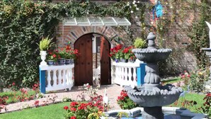 A garden with a fountain, potted plants, and a brick wall.