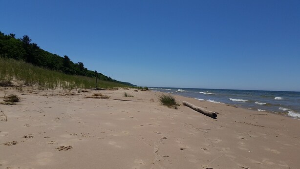 A sandy beach with sparse vegetation and a clear sky. - NEW LISTING 15% OFF 5BR Lake Michigan Cottage Private Retreat • Family Friendly (Pentwater)