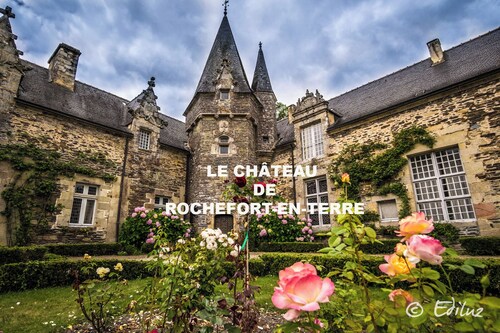 Cosy T2 apartment in the center of France's favorite village