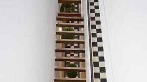 Un giardino verticale con un motivo a scacchi sulla parete, uno scaffale di legno e una piccola pianta.