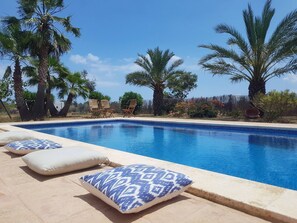 A swimming pool with lounge chairs and pillows, surrounded by palm trees. - Amazing Location & Value! (Sant Josep de sa Talaia)
