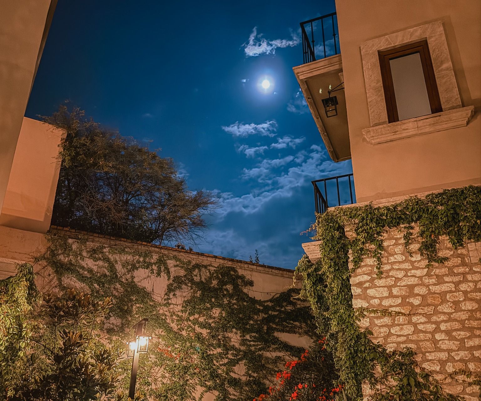 Une scène nocturne avec un ciel illuminé par la lune, un mur de pierre recouvert de plantes grimpantes et un bâtiment doté d’un balcon.