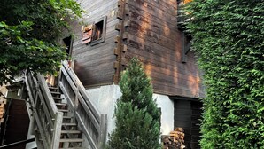 Una cabaña de madera con una escalera que conduce a la entrada, rodeada de vegetación.