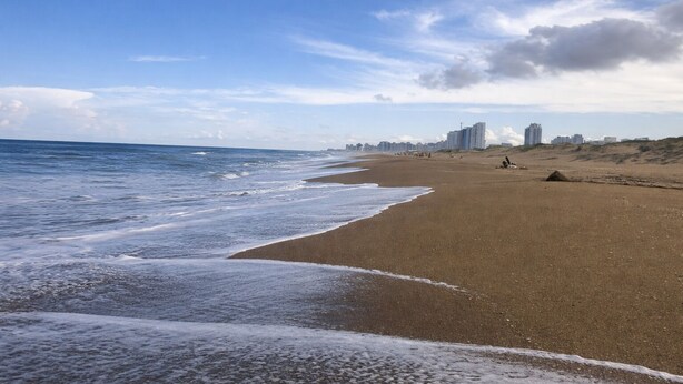 Une plage avec un rivage sablonneux, des vagues et des bâtiments situés au loin.