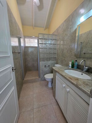 Chuveiro, secador de cabelo, toalhas de banho, sabonete