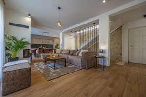 Smart TV, fireplace, ping pong, books