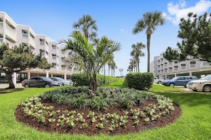 Condo (1 Bedroom) | Servicio de la propiedad