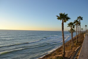 Beach - Ocean Oasis~Seabluffe Gated Condos, Encinitas CA (Encinitas)