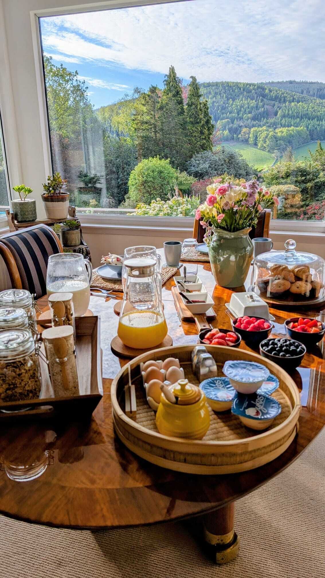 Une table de petit-déjeuner avec divers aliments, une carafe de jus d’orange et une vue sur un paysage boisé par la fenêtre.