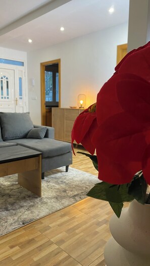 Living area - Rural House Solpor (Vigo)