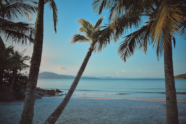 On the beach, white sand - Apto Cachoeira Class c Piscina - Floripa (Florianópolis)