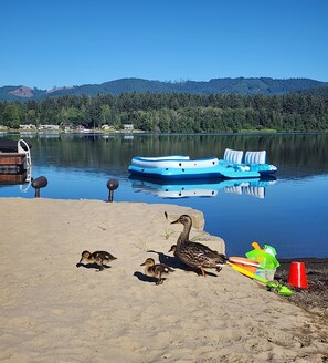 On the beach - Sandy Shores Luxurious Lake House, Hot Tub, Sauna, Huge Deck, Fireplace & Dock (Olympia)