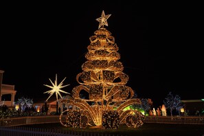 Unclassified image, 5 of 44, button - The Captain's Suite: Elegant & Historic Estate Stay at Mustard Seed Hill (Millersburg)