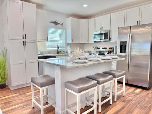 The Sand Dollar: Making Cents of Paradise