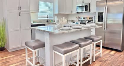 The Sand Dollar: Making Cents of Paradise